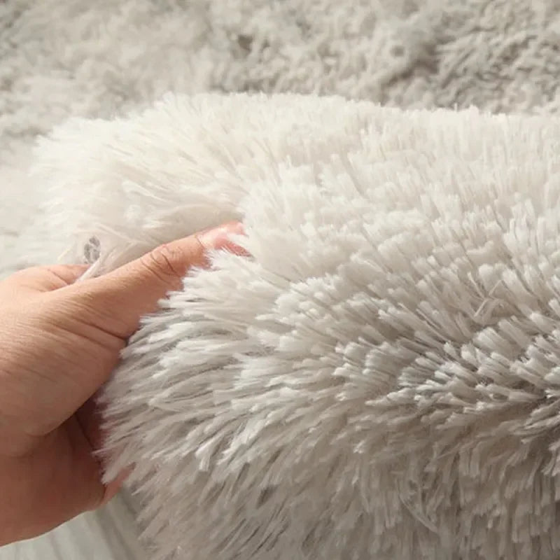 Super Soft Fluffy White Carpets